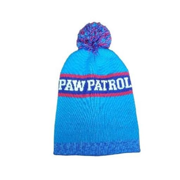 Toddler Paw Patrol Winter Hat for Toddler 2T-5T Boys Chase Mashall Rubble GUC - Picture 5 of 7